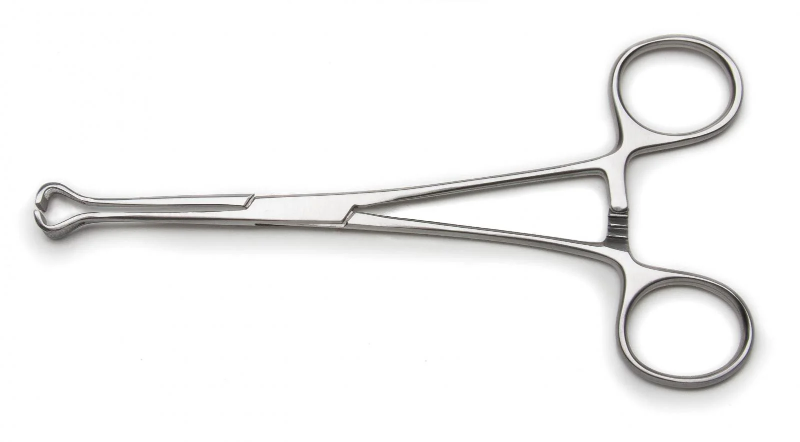 babcock-tissue-forceps
