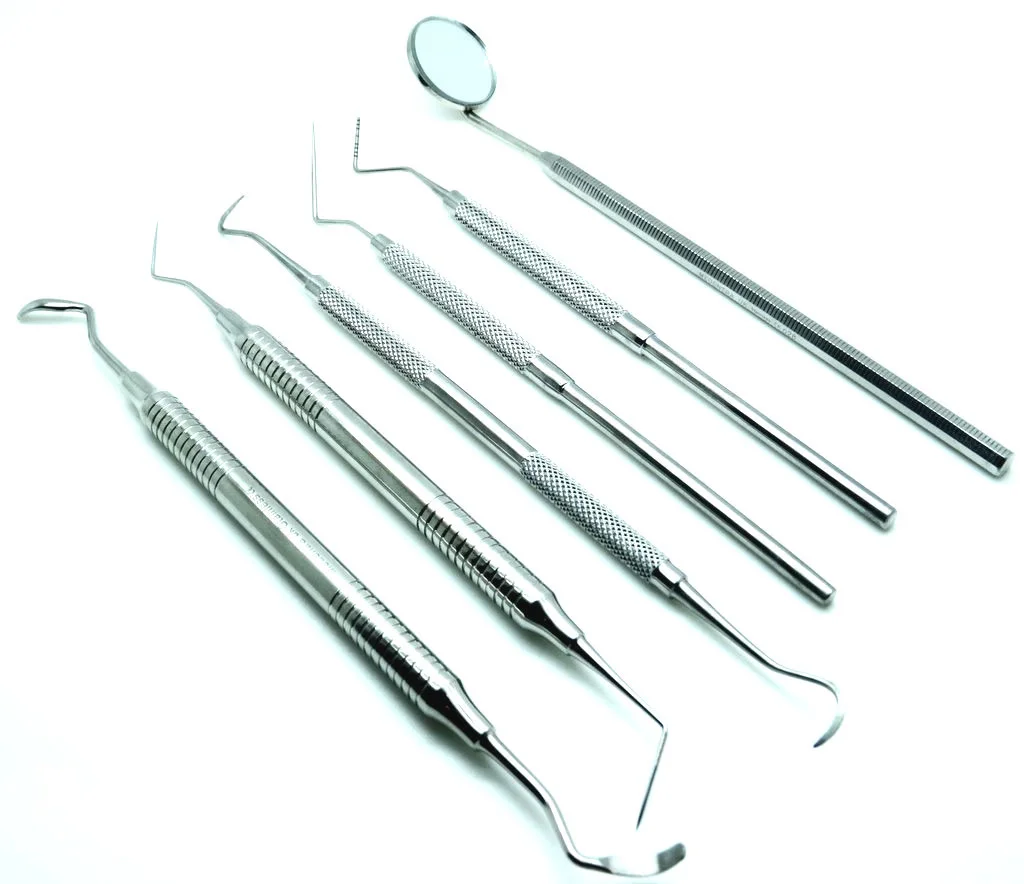 Basic Veterinary Dental Examination Kit