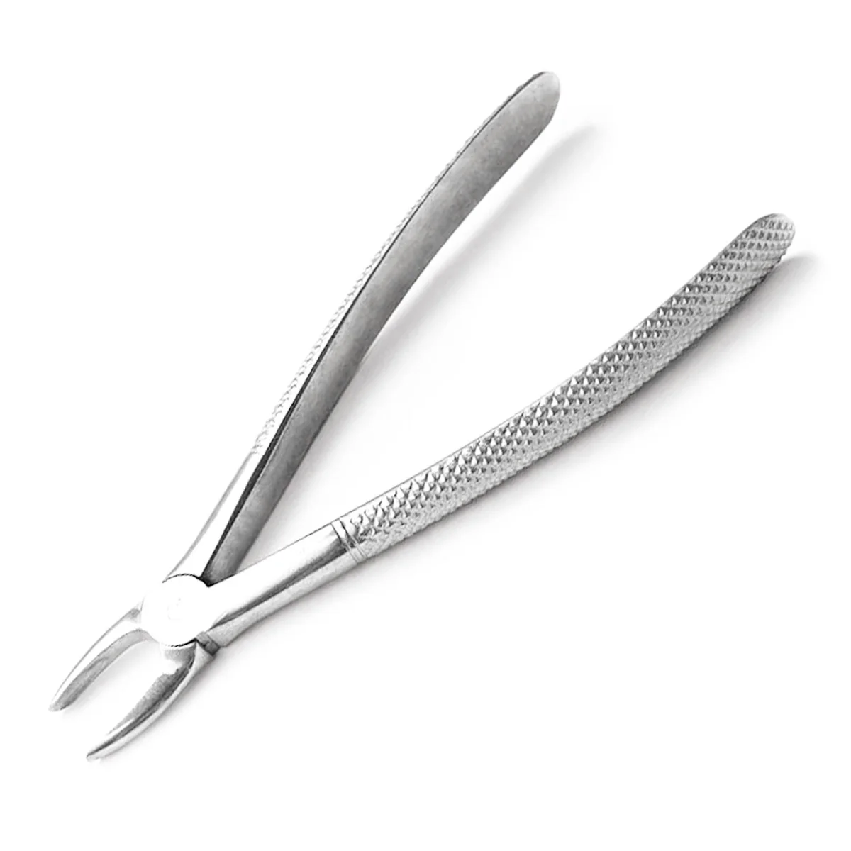 Canine Tooth Forceps