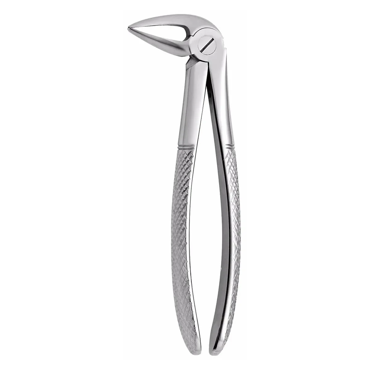 Lower Root Forceps
