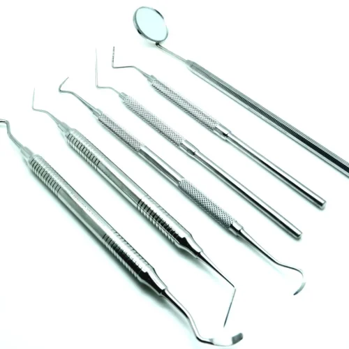 basic-veterinary-dental-examination-kit