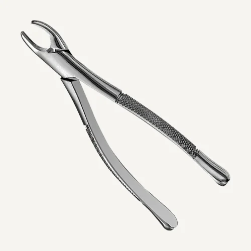 premolar-forceps